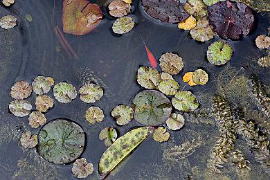 索尼CEO：PS游戏的未来在PC 移动和云端平台